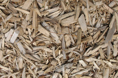 biomass boilers Dalscote